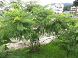 小浜01-3