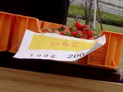 ���Τ����ε�01-8