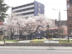 �綶