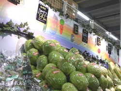 ダイレックス三重02