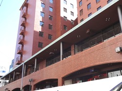 新地01