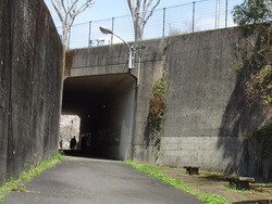 DSC06325