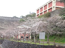 西山ダム下流公園02