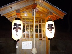 ���ٿ���