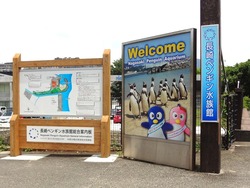 ペンギン水族館01