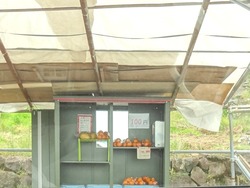 伊木力01-2