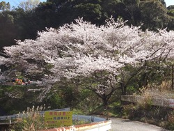 芒塚01-2