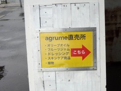 長与04-4