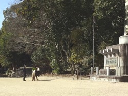 ��ˬ����01-6