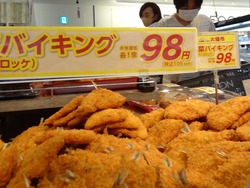 チトセピア01-2