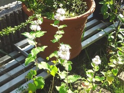 Äí01-2