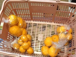 伊木力01-7