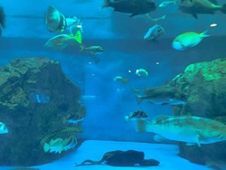 ペンギン水族館02-4