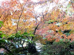 心田庵02-3