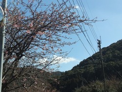 ������01