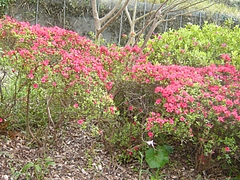 中尾城公園02-4