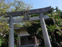 ø�����01-1