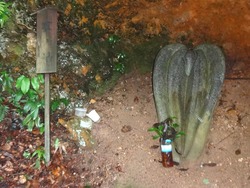 木花開耶姫神社01-5