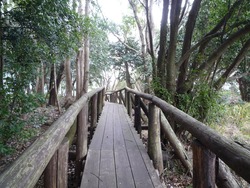 牧島03-2