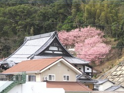 法妙寺