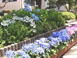 中島川01-7