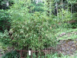 鳴滝02-5