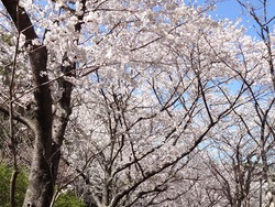 西山ダム公園01-2