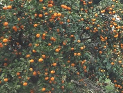 伊木力01-4