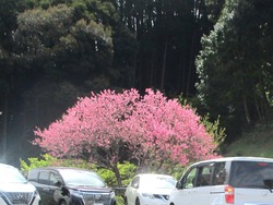 ���������01