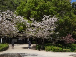 大村公園01-2