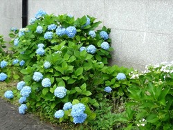鳴滝02-2