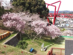 中尾城公園01