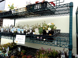 ナフコ時津店01-5