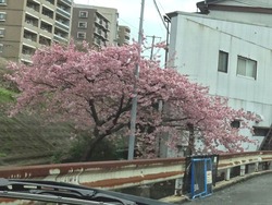 西北町