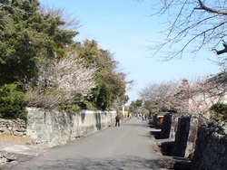 神代小路01