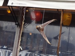 ������04-3