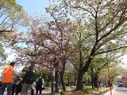 大村公園01-3