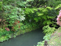 諫早公園01-5