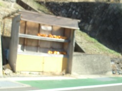 ������01