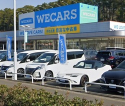 ウィカーズ