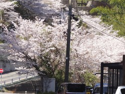 芒塚01-3