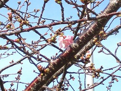 久原公園01-3