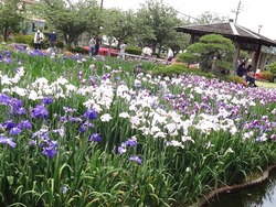 大村公園01-7