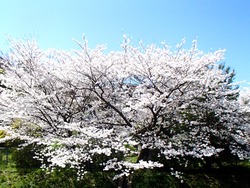 西山ダム公園01-2