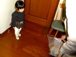 孫01-2