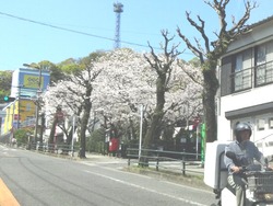 新戸町01