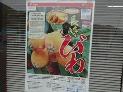 市役所03