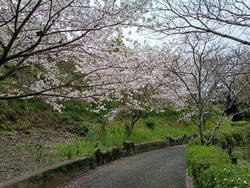 ���������01-3