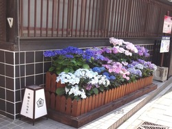 中通り01-7