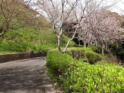 中尾城公園01-2